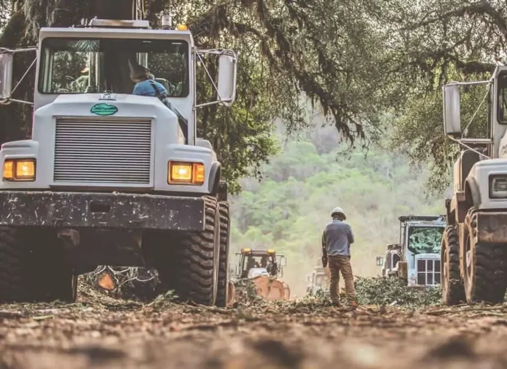 Land Clearing Service Case Study Image 2